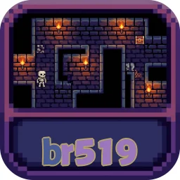 br519