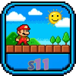 s11